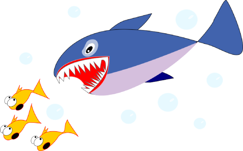 800x497 Top 90 Shark Clip Art
