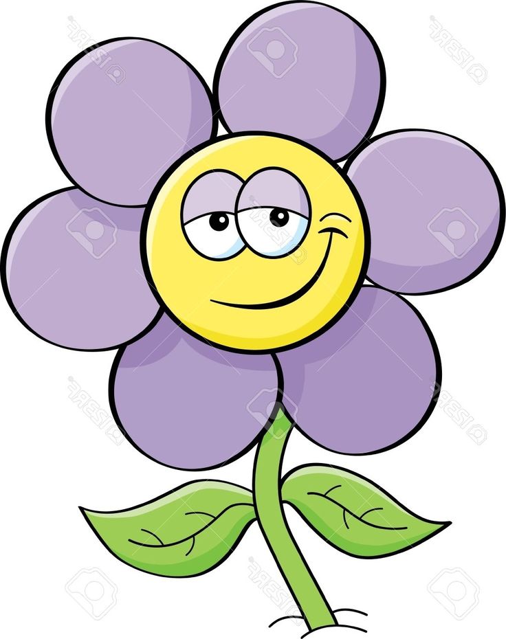 736x930 Cartoon Flower Petals Petal Stock Vector Illustration And Royalty