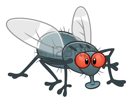 Cartoon Fly Pictures | Free download on ClipArtMag