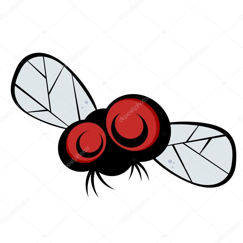1024x1024 Funny Cartoon Fly Stock Vector Shockfactor.de