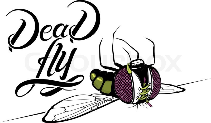 800x466 Funny Dead Fly With Original Typography Stock Vector Colourbox