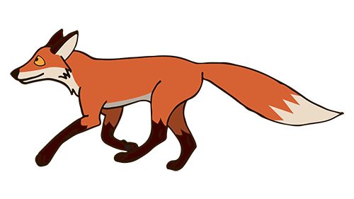 500x281 Gallery For Gt Cartoon Fox Running L@fun Running