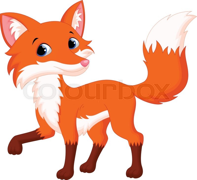 800x732 Vector Illustration Of Cute Fox Cartoon Isolated On White