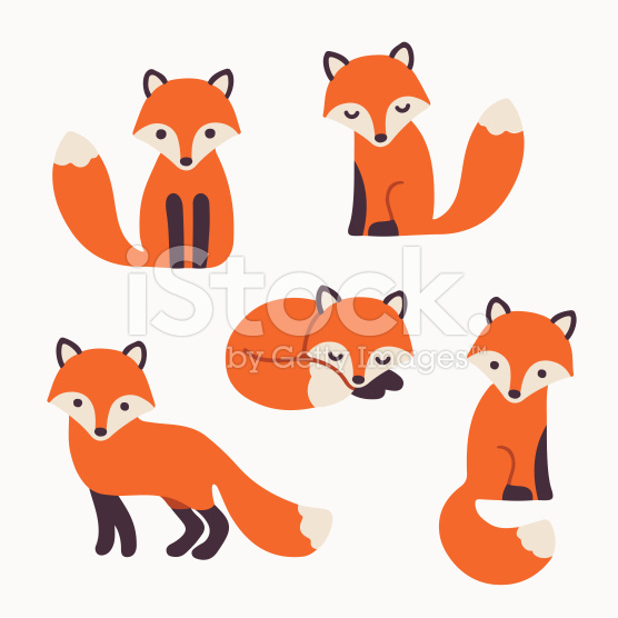 556x556 Set Of Cute Cartoon Foxes In Modern Simple Flat Style. Isolated