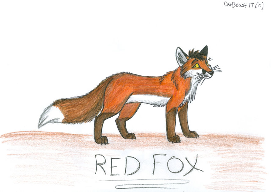 900x629 Cartoon Red Fox By Catbeast17