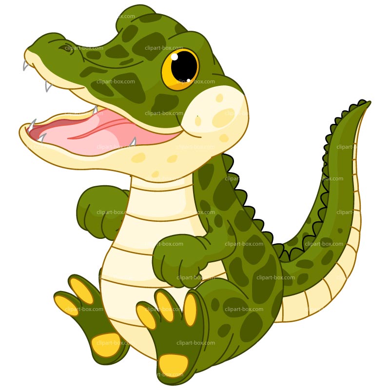 800x800 Crocodile Alligators Cartoon And Art Images On Clip Art