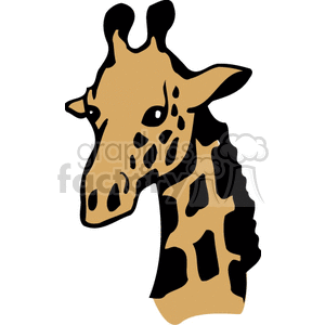 300x300 Royalty Free Close Up Of Giraffe Face 129689 Vector Clip Art Image