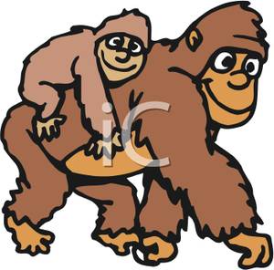 300x296 Tiger Clipart Baby Gorilla