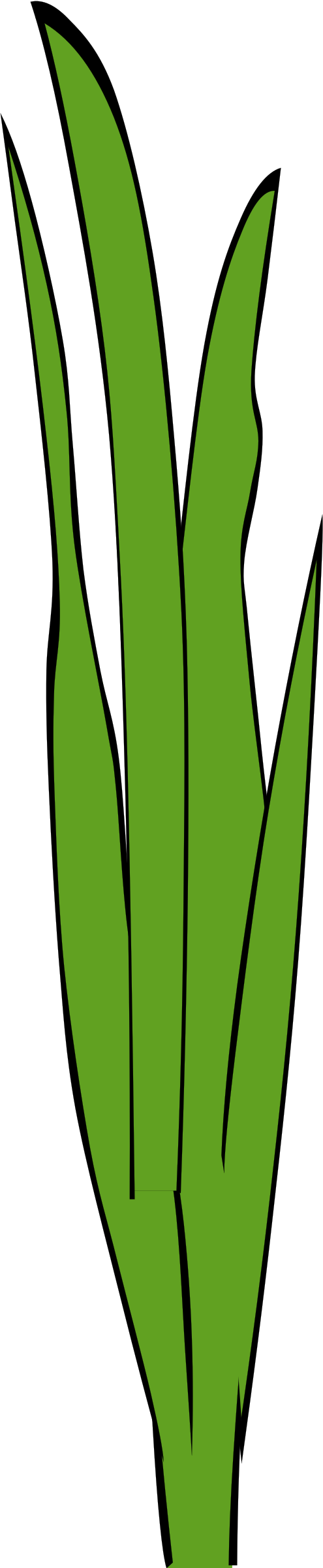 495x2400 Sea Grass Clipart Animated