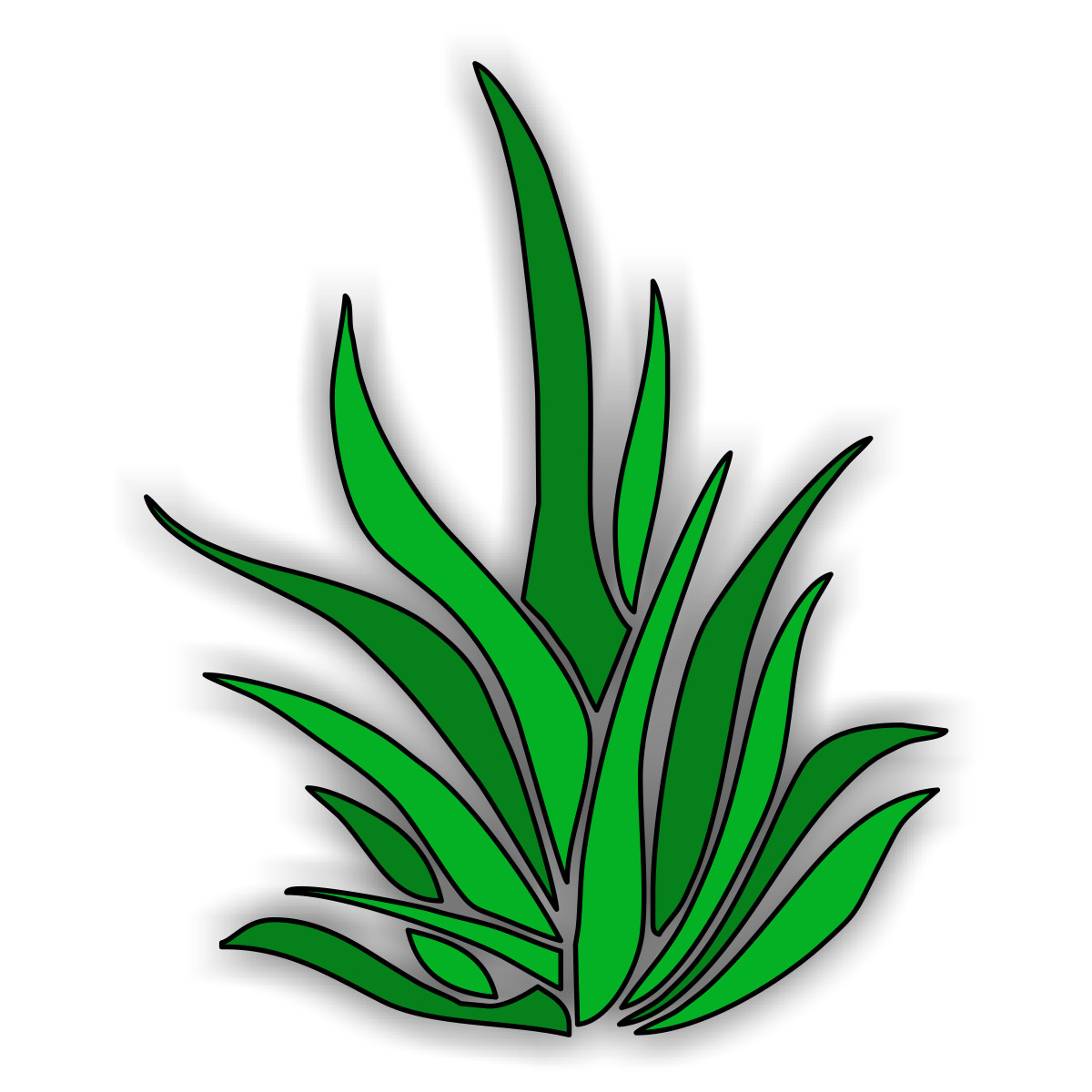 1200x1200 Sea Grass Clipart Ocean Plant