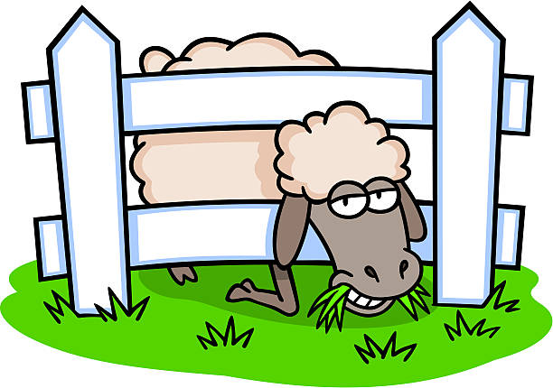 612x430 Sheep Eating Grass Clipart Amp Sheep Eating Grass Clip Art Images