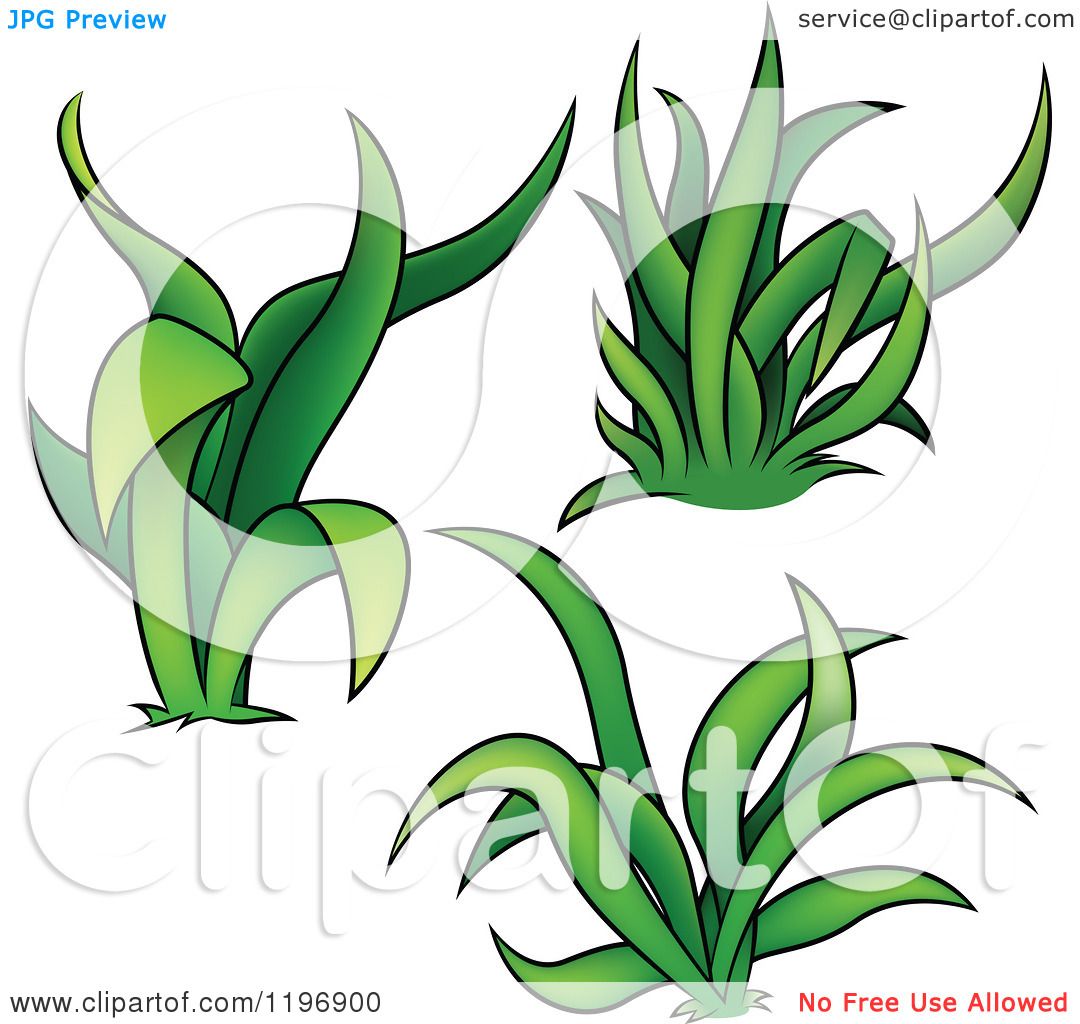 1080x1024 Tufts Of Grass Clip Art Cliparts
