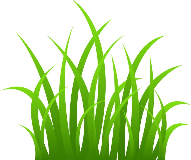 736x620 Easter Grass Clip Art