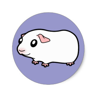 324x324 Cartoon Guinea Pig Stickers Zazzle.co.uk