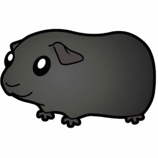 320x320 Cartoon Guinea Pig Illustration Cartoon
