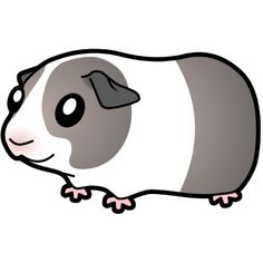 236x236 Guinea Pig Clipart Png