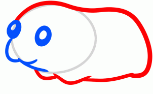 302x185 How To Draw How To Draw A Guinea Pig For Kids