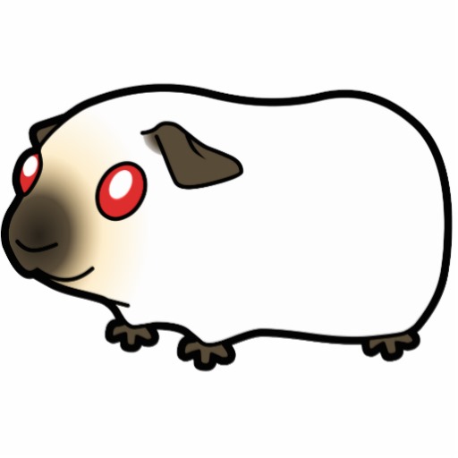 512x512 Top 93 Guinea Pig Clip Art