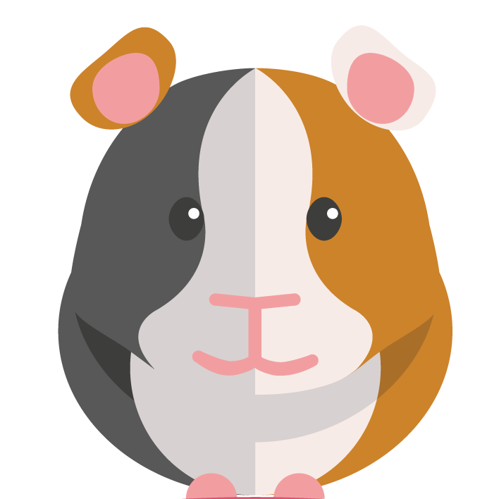 708x708 Top 93 Guinea Pig Clipart