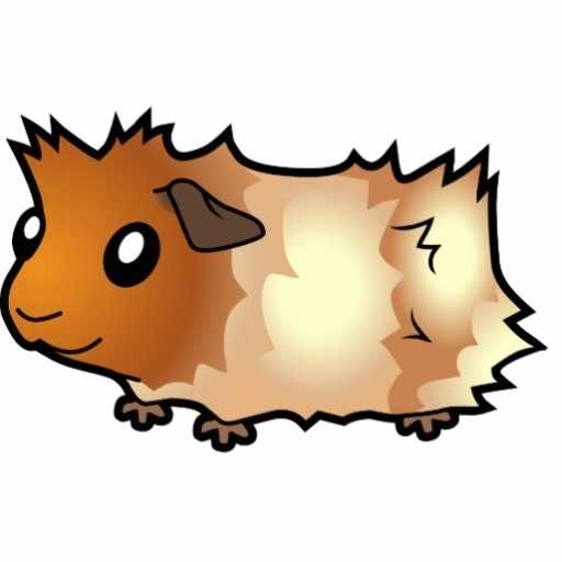 512x512 Guinea Pig Cartoon Images
