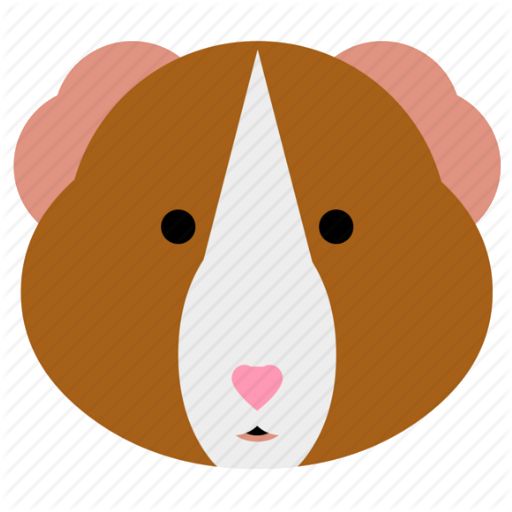 512x512 Guinea Pig Icon