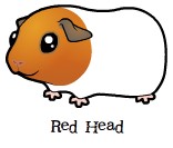 156x133 Archive Guinea Pigs