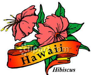 300x248 Hawaii Clipart Hawaii State Flower