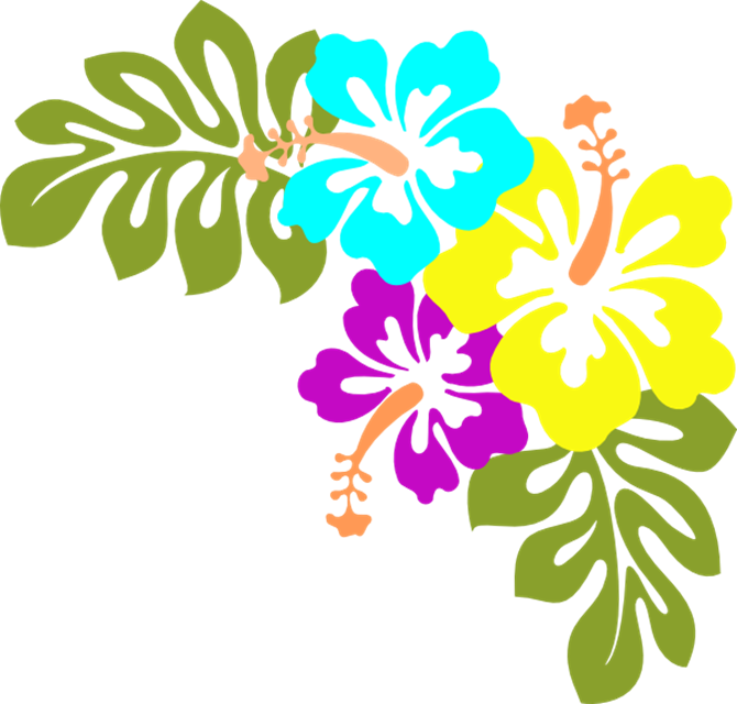 670x640 Luau Clipart Flower Free Hawaiian Collection Hibiscus