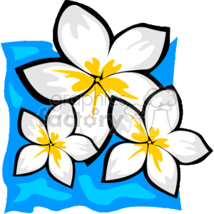 300x300 Royalty Free White And Yellow Tropical Flowers 163020 Vector Clip