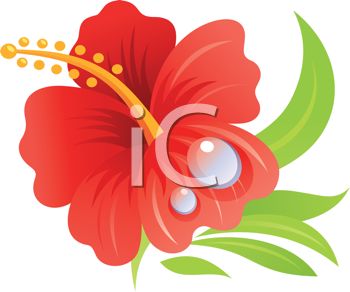 350x292 Drawn Hibiscus Shoe Flower