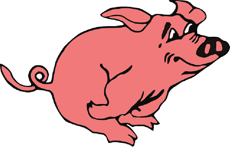 800x512 Animals, Cartoon, Mammals, Pig, Running, Dancing, Hog