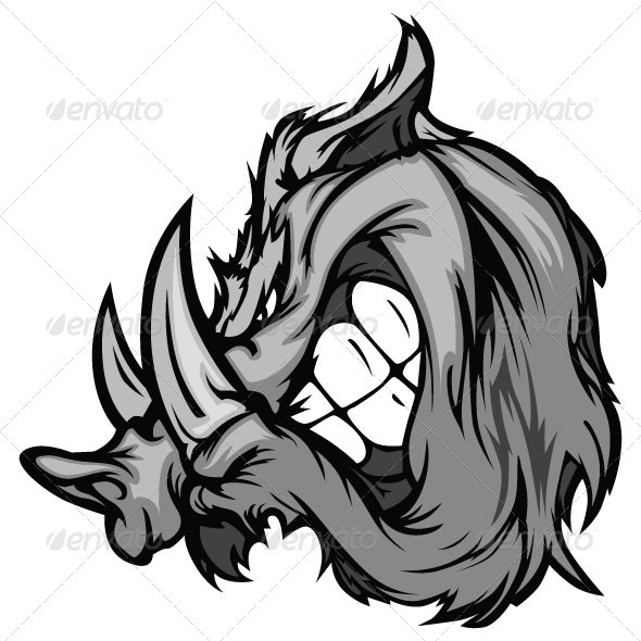 590x590 Boar Razorback Cartoon Face Vector Illustration Cartoon Faces