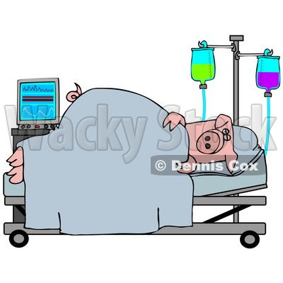 400x400 Illustration Of A Sick Pig Resting In A Hospital Bed Djart