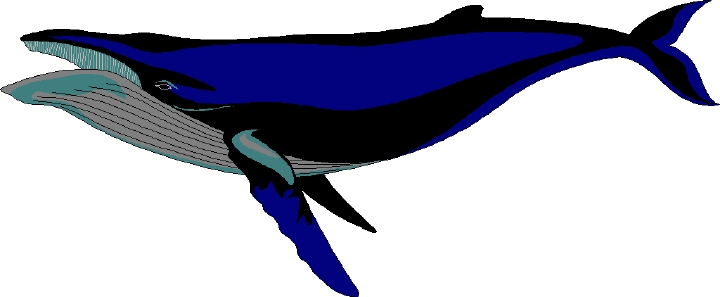 720x297 Sharkwhale Clipart Humpback Whale