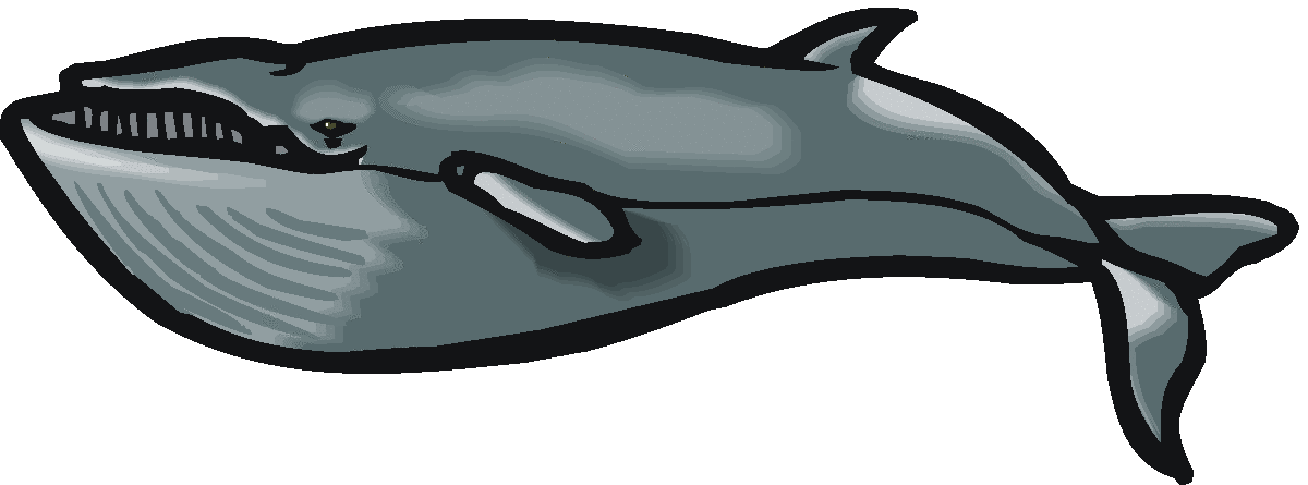 1200x445 Blue Whale Clipart Humpback Whale