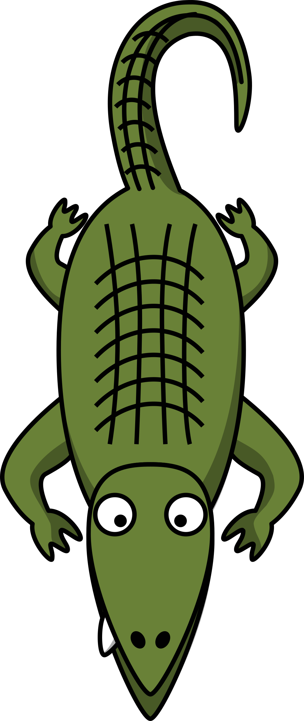 1012x2400 Cartoonlligator By Studiofibonacci Letter