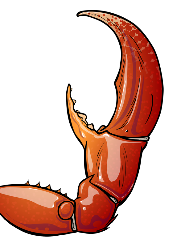 600x802 Crab Claw By Mikeroush