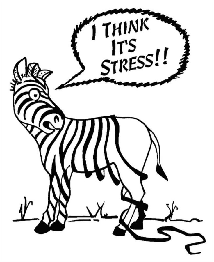 736x900 Stress Pictures Free Download Clip Art