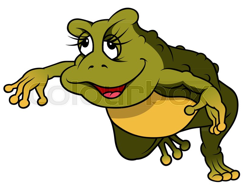 800x617 Jumping Green Female Frog