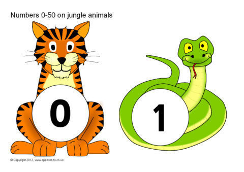 480x339 Numbers 0 50 On Jungle Animals (Sb601)