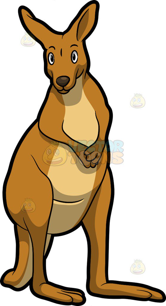 556x1024 A Nice Kangaroo Cartoon Clipart