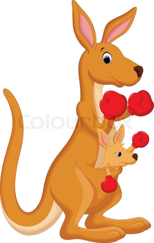 509x800 Vector Illustration Of Kangaroo Boxing Cartoon Isolated On White