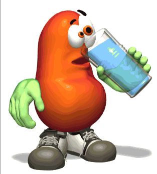 313x348 Moving Clipart Kidney