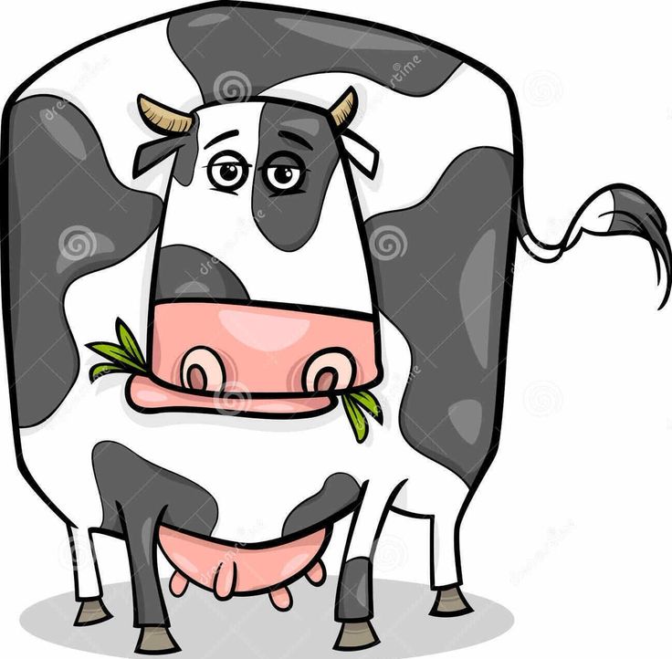 736x722 Bovine Kidney Clipart