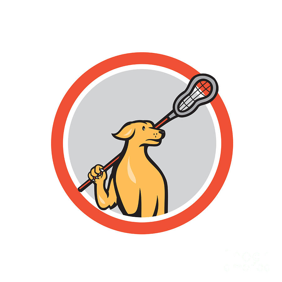 900x900 Dog Lacrosse Player Crosse Stick Cartoon Circle Digital Art By