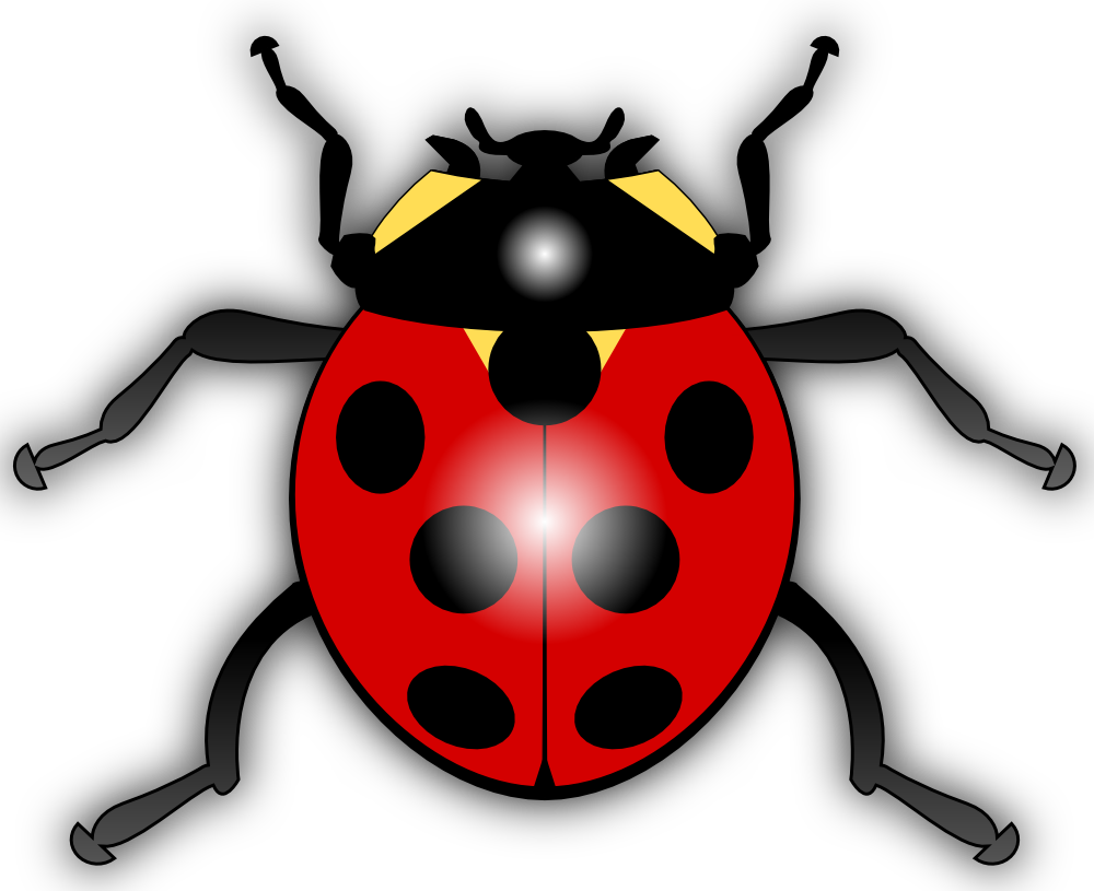 1000x815 Ladybug Png Images Transparent Free Download