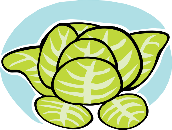 600x452 Iceberg Lettuce Clip Art