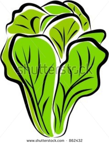 357x470 Lettuce Clipart