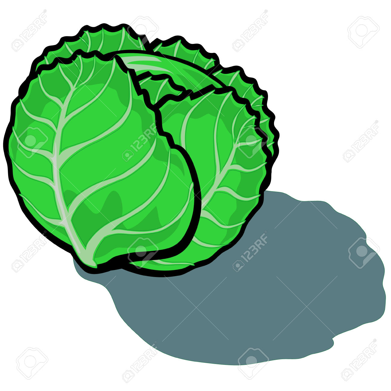 1300x1300 Lettuce Clipart Cute