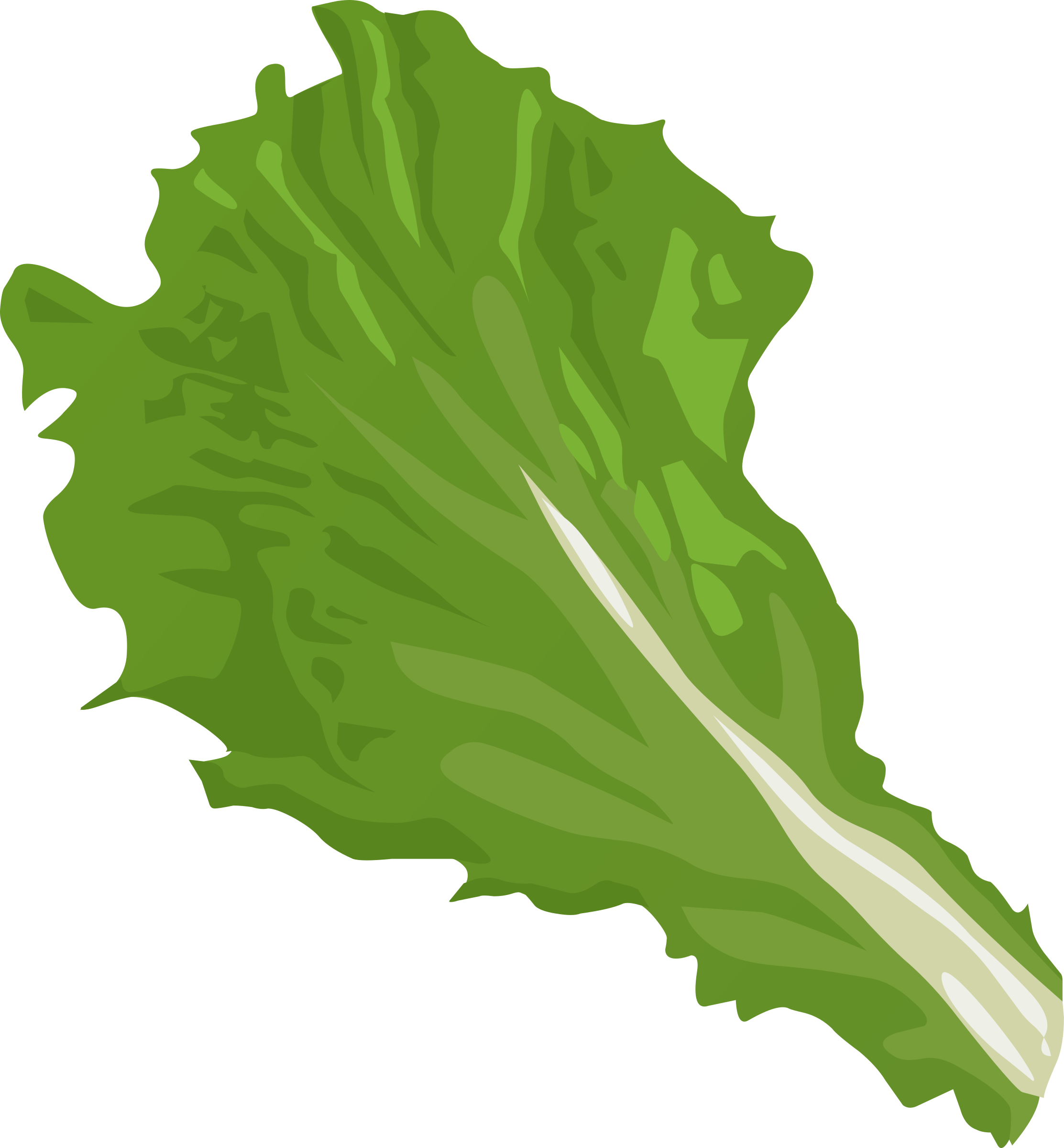 2225x2400 Lettuce Clipart Transparent Background